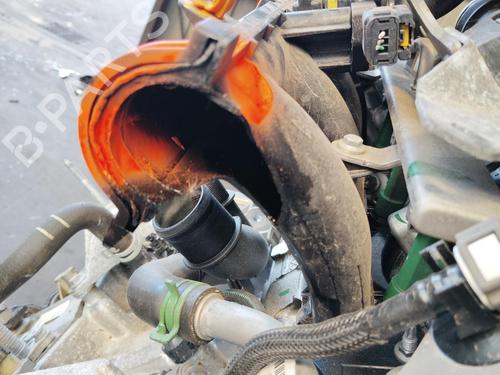 Engine RENAULT CLIO V (B7_) 1.0 TCe 90 (B7MT) | BP38584484M1 - Image 2