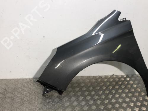 left-front-fenders-citroen-c4-ii-nc_-2009-34300635 main image