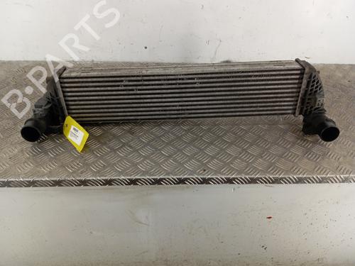 Intercooler Intercooler RENAULT ESPACE IV (JK0/1_) 2.0 dCi (JK02, JK03) (131 hp) 34303711 34303711