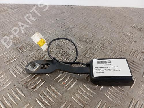 Used Seat buckle Seat buckle PEUGEOT 207 (WA_, WC_) 1.4 HDi (68 hp) 34302487 34302487