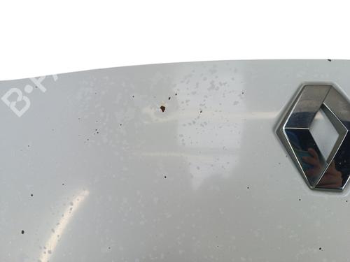 Used Hood Hood RENAULT CLIO II Hatchback Van (SB0/1/2_) 1.9 D (SB0R) (54 hp) 36471744 36471744