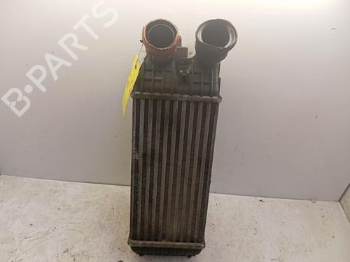 Intercooler CITROËN C3 III (SX) 1.6 BlueHDi 75 | BP39213734M30 - Image 2