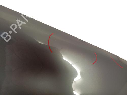 Guarda-lamas direito Guarda-lamas direito RENAULT MEGANE II (BM0/1_, CM0/1_) 1.6 16V (BM0C, CM0C) (113 hp) 35810128 35810128