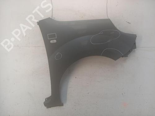 Used Right front fenders Right front fenders RENAULT KANGOO Express (FW0/1_) [2008-2026] 40032672 40032672