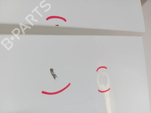 Used Left tailgate Left tailgate RENAULT MASTER III Van (FV) 2.3 dCi 170 FWD (FV0L) (170 hp) 34329895 34329895