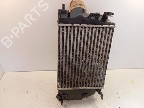 Intercooler Intercooler RENAULT MEGANE IV Hatchback (B9A/M/N_) [2015-2026] 34325656 34325656