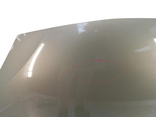 hood-dacia-sandero-2008-36472023 main image