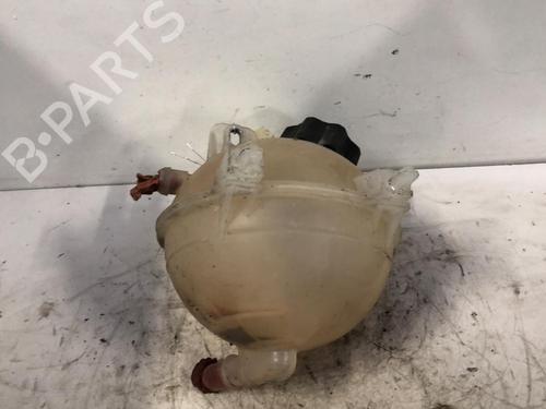 Vaschetta di espansione Vaschetta di espansione CITROËN JUMPY II Van [2007-2016] 34320775 34320775