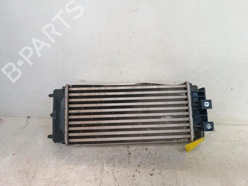 Intercooler Intercooler PEUGEOT PARTNER Box Body/MPV [2008-2026] 34322469 34322469