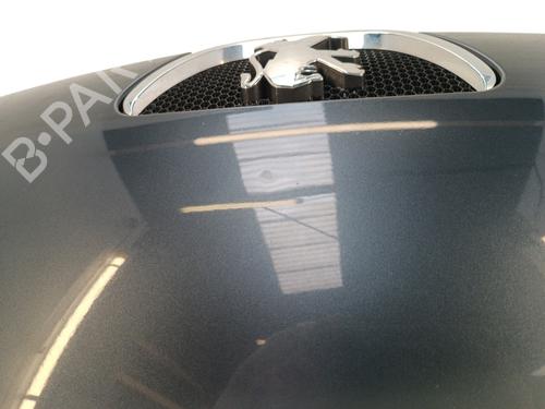 Used Hood Hood PEUGEOT 107 (PM_, PN_) 1.4 HDi (54 hp) 36471575 36471575
