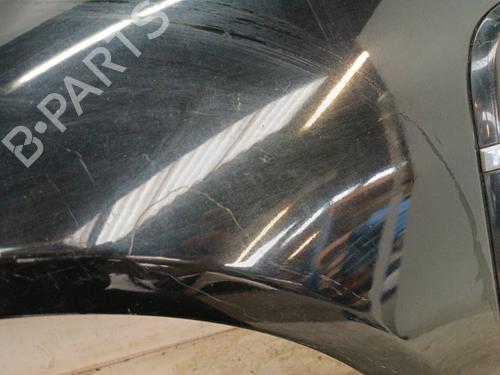 Guarda-lamas esquerdo Guarda-lamas esquerdo JAGUAR XF I (X250) 2.7 D (207 hp) 34322271 34322271