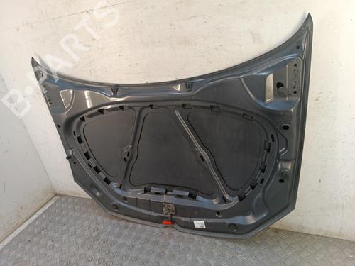 Capot Capot VW POLO V (6R1, 6C1) 1.2 (60 hp) 37504298 37504298