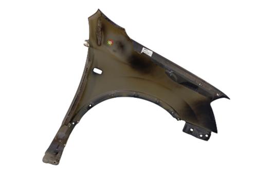 Forskærm venstre Forskærm venstre NISSAN QASHQAI I (J10, NJ10) 2.0 dCi (150 hp) 35809423 35809423