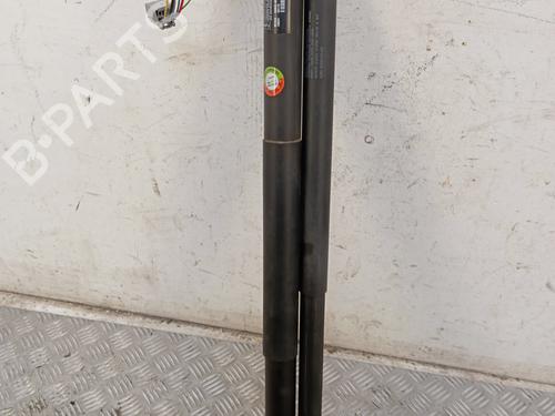 tailgate-lift-support-ford-kuga-ii-dm2-2012-34329260 main image