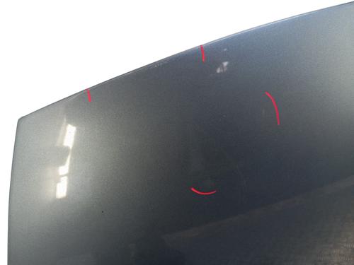 Panser Panser CITROËN C3 I (FC_, FN_) 1.1 i (60 hp) 34329633 34329633