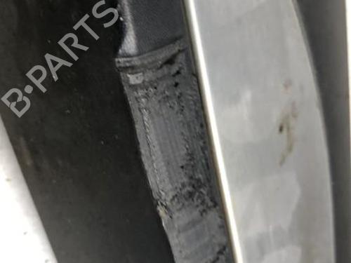 Used Door moulding trim Door moulding trim RENAULT CLIO III Hatchback Van (SB_, SR_) [2005-2026] 35810450 35810450