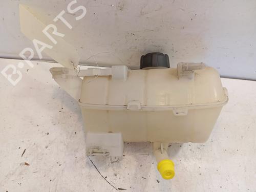expansion-tank-renault-kangoo-express-fw01_-2008-34325736 main image