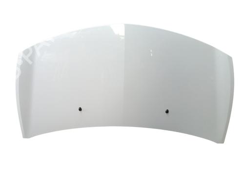 hood-renault-clio-iii-br01-cr01-2005-2006-2007-2008-2009-2010-2011-2012-2013-2014-36472632 main image