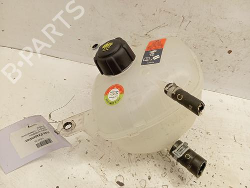 Vaso de expansão Vaso de expansão NISSAN QASHQAI III (J12) 1.3 DIG-T (158 hp) 34328663 34328663