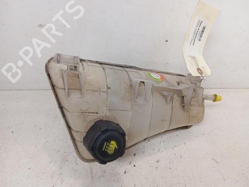expansion-tank-renault-kangoo-express-fw01_-2008-34322262 main image