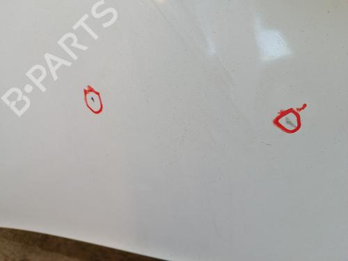 hood-renault-kangoo-express-fw01_-2008-34323003 main image