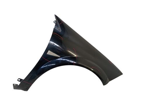 Guarda-lamas direito Guarda-lamas direito RENAULT MEGANE II (BM0/1_, CM0/1_) [2001-2012] 35810100 35810100