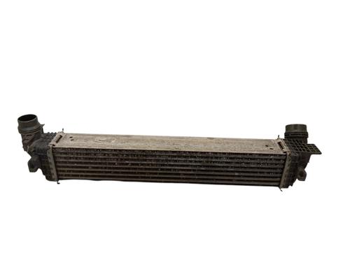 Intercooler Intercooler RENAULT SCÉNIC III (JZ0/1_) 1.6 dCi (JZ00, JZ12) (130 hp) 34329869 34329869