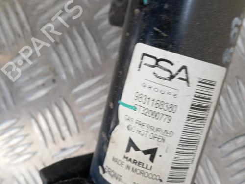 Used Left front shock absorber Left front shock absorber PEUGEOT 208 I (CA_, CC_) [2012-2021] 34324464 34324464