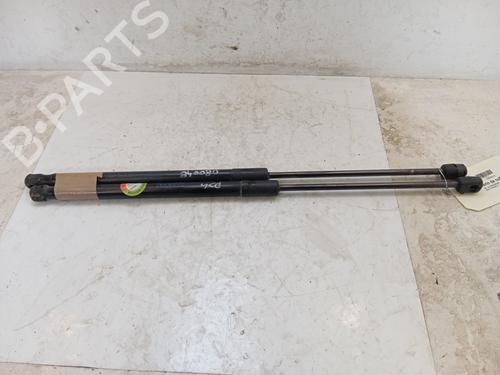 Used Tailgate lift support Tailgate lift support DS DS 4 / DS 4 CROSSBACK (NX_) [2015-2018] 34324238 34324238