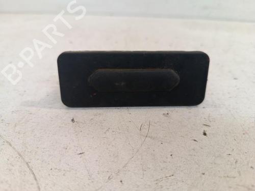 Used Tailgate handle Tailgate handle DACIA SANDERO III 1.0 TCe 90 (91 hp) 34321581 34321581