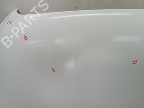 Used Hood Hood FIAT DOBLO MPV (119_, 223_) 1.3 D Multijet (84 hp) 34322509 34322509