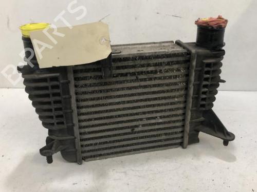 Intercooler Intercooler RENAULT CLIO III (BR0/1, CR0/1) [2005-2014] 34321211 34321211