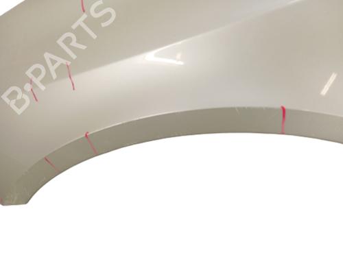 Used Left front fenders Left front fenders RENAULT LAGUNA II (BG0/1_) [2001-2007] 35809360 35809360