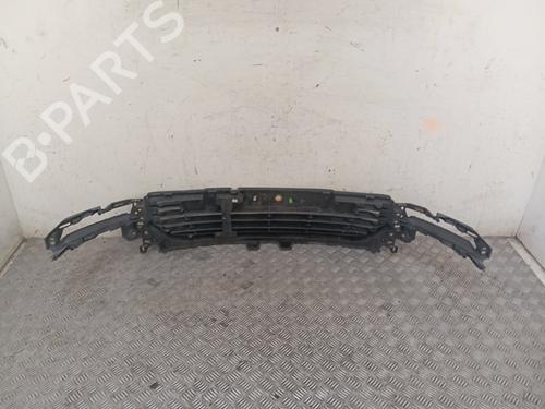 Used Grille Grille 38010117 38010117