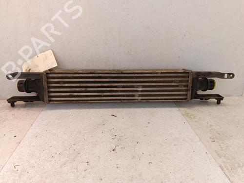 Intercooler Intercooler OPEL CORSA D (S07) 1.3 CDTI (L08, L68) (75 hp) 34324876 34324876