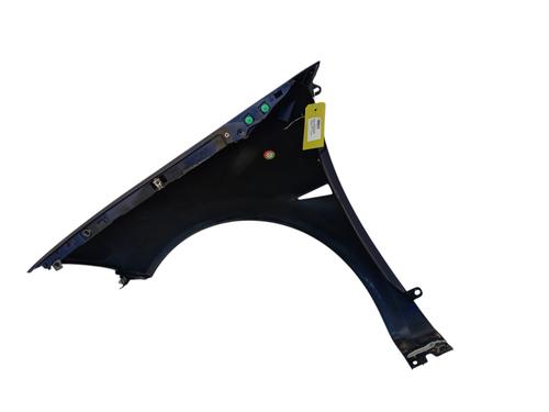 Guarda-lamas direito Guarda-lamas direito RENAULT MEGANE II (BM0/1_, CM0/1_) [2001-2012] 35810123 35810123
