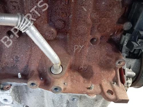Engine RENAULT MEGANE III Hatchback (BZ0/1_, B3_) 1.5 dCi | BP39885360M1 - Image 5