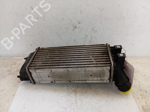 Used Intercooler Intercooler DS DS 4 / DS 4 CROSSBACK (NX_) [2015-2018] 34324227 34324227