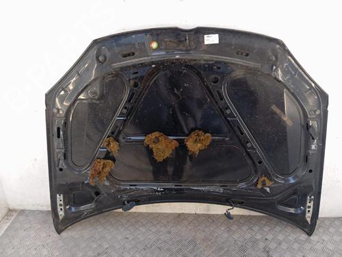 Used Hood Hood VW GOLF V (1K1) 1.9 TDI (90 hp) 39684313 39684313