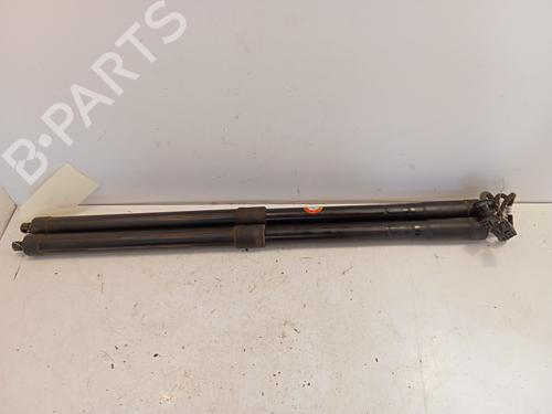 Used Tailgate lift support Tailgate lift support FORD C-MAX II (DXA/CB7, DXA/CEU) 1.5 TDCi (120 hp) 34325493 34325493