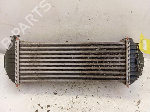 Intercooler Intercooler RENAULT KANGOO Express (FW0/1_) [2008-2026] 34329195 34329195