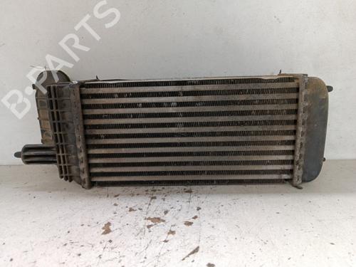 Used Intercooler Intercooler CITROËN JUMPY II Van [2007-2016] 34322896 34322896