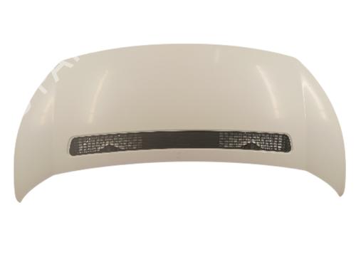 Capot Capot PEUGEOT EXPERT Van (VF3A_, VF3U_, VF3X_) 2.0 HDi 130 (128 hp) 34327410 34327410