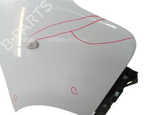 Guarda-lamas direito Guarda-lamas direito RENAULT TRAFIC III Van (FG_) 1.6 dCi 115 (FGMD) (116 hp) 35810264 35810264