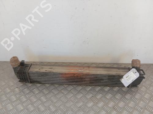 Used Intercooler Intercooler DACIA DUSTER (HS_) 1.5 dCi (HSAJ) (90 hp) 34325922 34325922