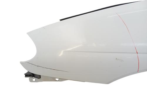 Used Left front fenders Left front fenders RENAULT MEGANE I (BA0/1_) 1.9 dTi (BA1U) (80 hp) 35810301 35810301
