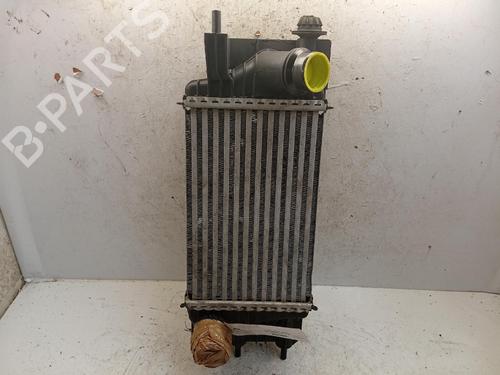 Intercooler NISSAN NV200 Van 1.5 dCi 110 (M20, M20N, M20M) | BP40348126M30 - Image 3