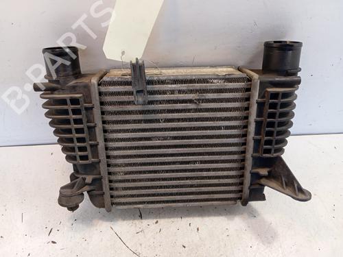 Intercooler Intercooler NISSAN JUKE (F15) 1.5 dCi (110 hp) 34325857 34325857