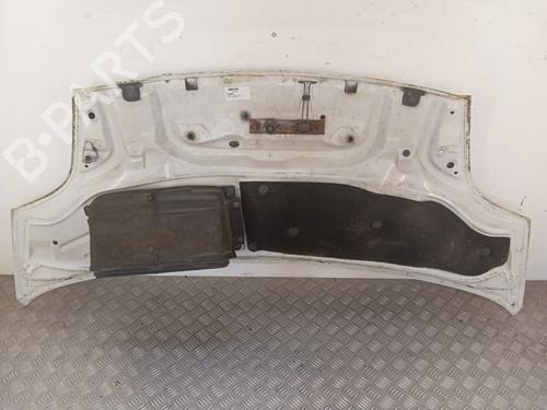 hood-renault-trafic-ii-van-fl-2001-36471467 main image