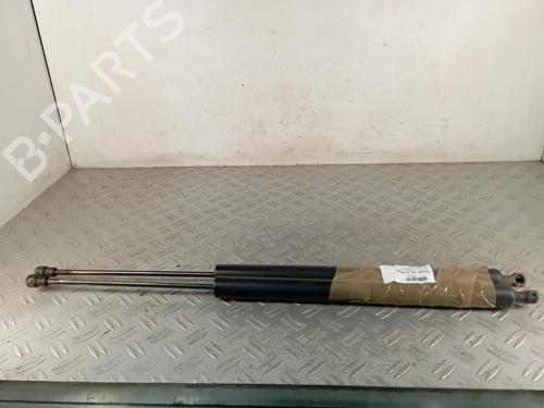 tailgate-lift-support-citroen-berlingo-er_-ec_-2018-39667377 main image